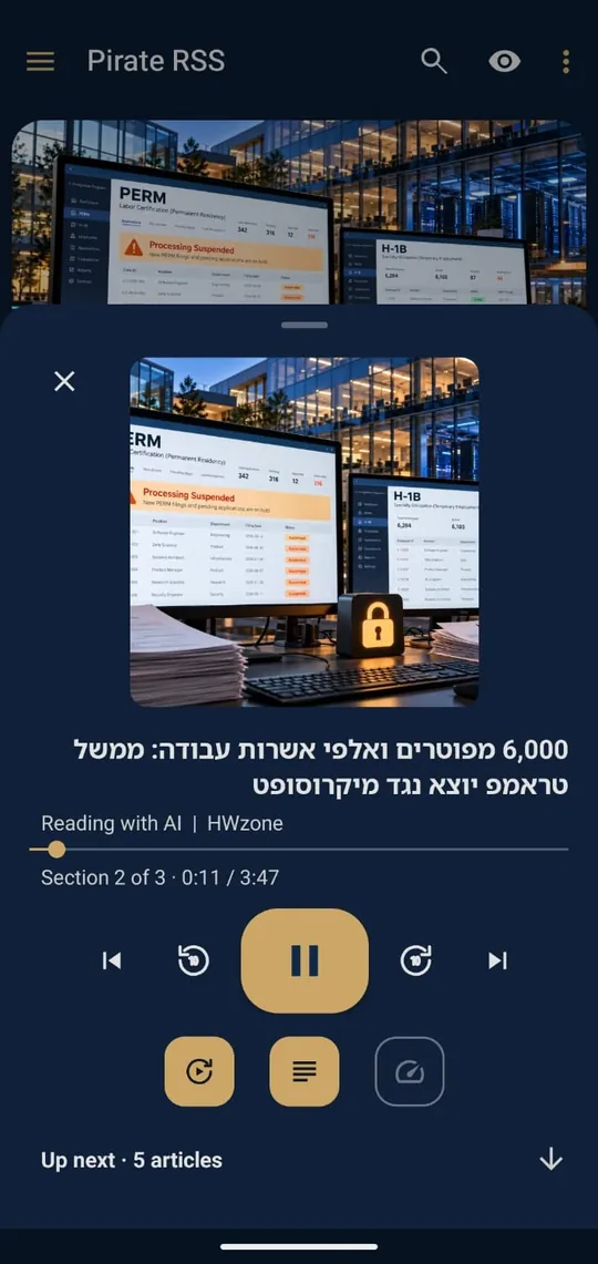 התראת ההשמעה